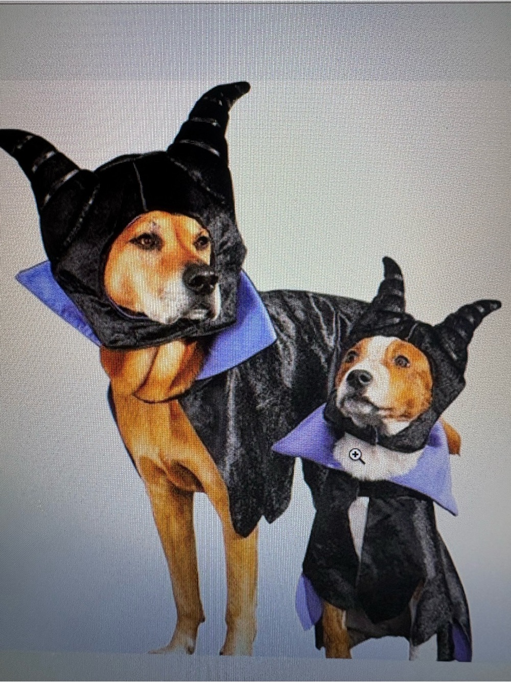 Disney NWT Black/ Purple Vampire Dog Robe with Headpiece Halloween costume. Med